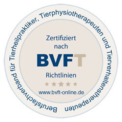 logo_bvft_web_250